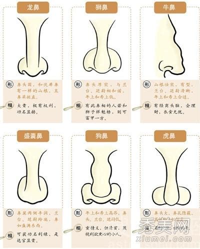 鼻生瘡面相|理財面相學｜5大破財面相特徵：鼻孔朝天之外還有哪些？－【七 